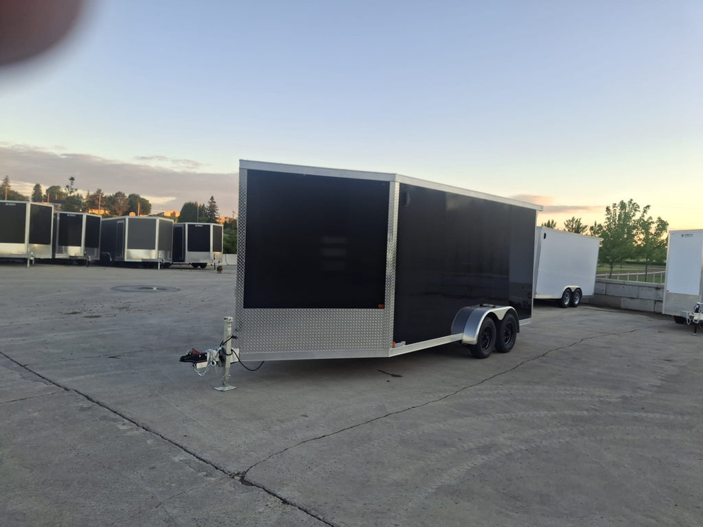 Snowmobile/Multisport Aluminium Trailer